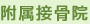 附属接骨院